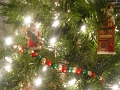 031130-soft focus Christmas tree